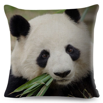 Chinese Cute Panda Printed Pillowcase Decor Lovely Wild Animal Cushion Cover