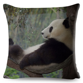 Chinese Cute Panda Pillowcase Decor Lovely Wild Animal Printed Cushion Cover