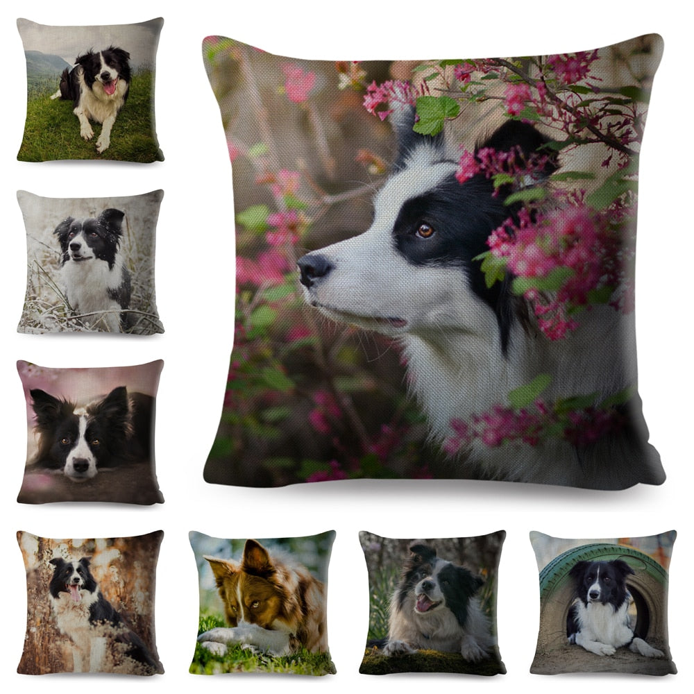 Scotland Border Collie Cushion Cover Cute Pet Animal Dog Printed Pillow Case