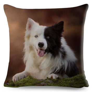 Scotland Border Collie Cushion Cover Cute Pet Animal Dog Printed Pillow Case