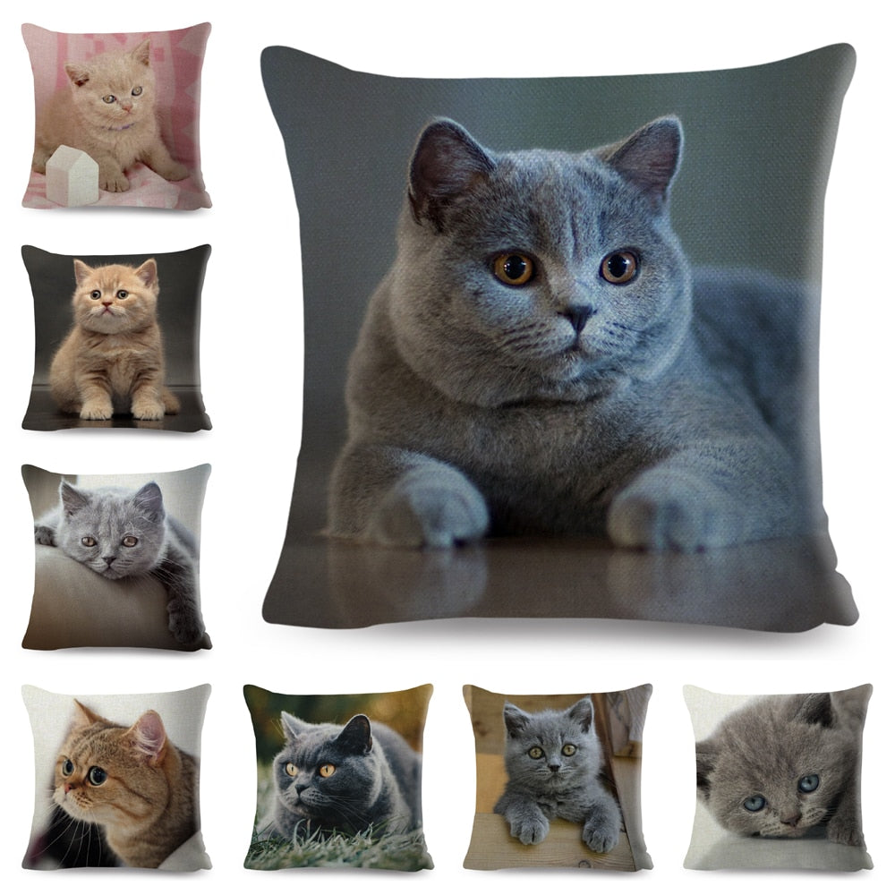 British Shorthair Russian Blue Cushion Cover Decor Cute Cat Pet Animal Pillowcase