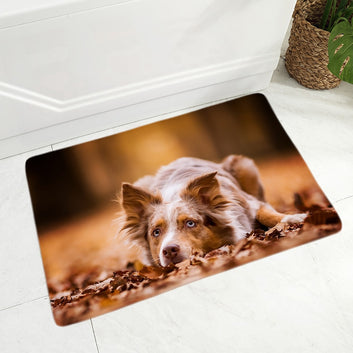 Scotland Border Collie Floor Door Mat Pet Dog Animal Doormat
