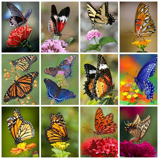Diamond Art Painting Mosaic Butterfly Animal Full Diamond Embroidery Flower Sticker Decor