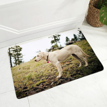 Cute Labrador Floor Door Mat Decor Pet Dog Animal Doormat