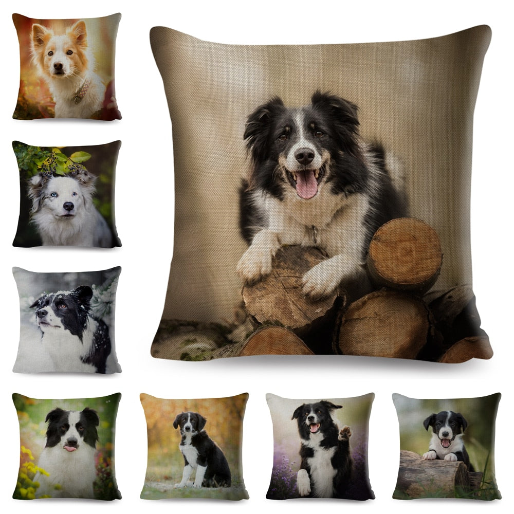 Cute Pet Animal Dog Printed Pillowcase Decor Scotland Border Collie Cushion Cover