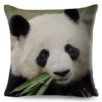 Funda de almohada con estampado de panda chino, encantadora funda de cojín de animales salvajes.