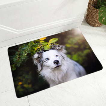 Pet Dog Animal Doormat Decor Scotland Border Collie Floor Door Mat