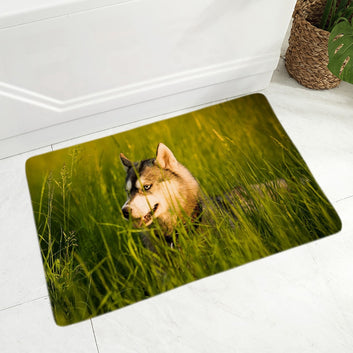 Siberian Husky Dog Flannel Carpet Floor Mat Decor Pet Animal Door Mat