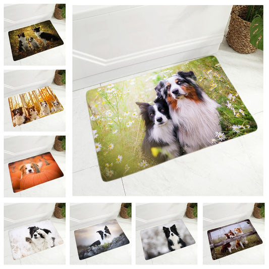 Scotland Border Collie Dog Floor Door Mat Decor Pet Animal Doormat