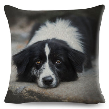 Scotland Border Collie Cushion Cover Dog Printed Cute Pet Pillow Case