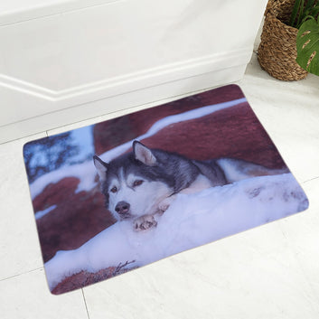 Pet Animal Flannel Carpet Floor Mat