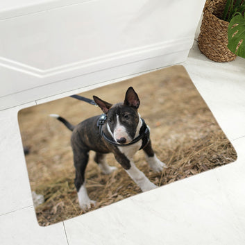 England Pit Bull Terrier Dog Doormat Decor Pet Animal Floor Door Mat