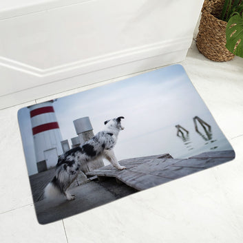 Scotland Border Collie Dog Doormat Decor Pet Animal Floor Door Mat