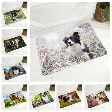 Pet Dog Animal Door Mat Non-Slip Doormat Flannel Carpet Floor Mat