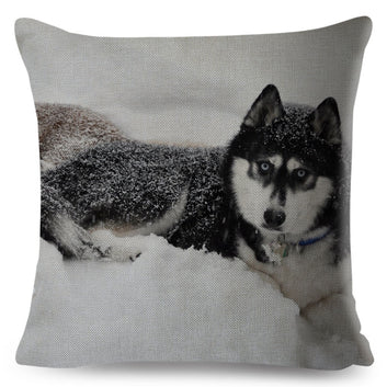 Siberian Husky Cushion Cover Cute Pet Animal Dog Pillow Case