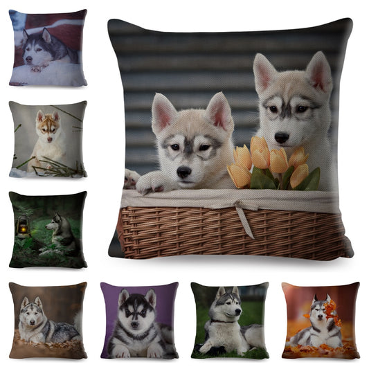 Cute Dog Printed Cushion Cover Pet Animal Siberian Husky Pillow Case