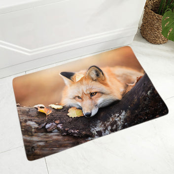 Cute Fox Doormat Non-Slip Lovely Wild Animal Floor Door Mat