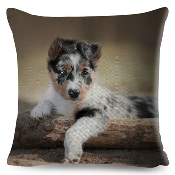 Pet Dog Animal Cushion Cover Cute Australian Shepherd Pillow Case