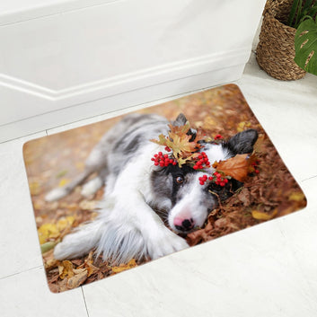 Scotland Border Collie Floor Door Mat Decor Pet Dog Animal Doormat