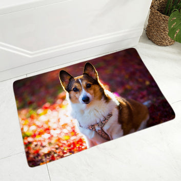 Cute Welsh Corgi Pembroke Dog Floor Door Mat Decor Pet Animal Doormat